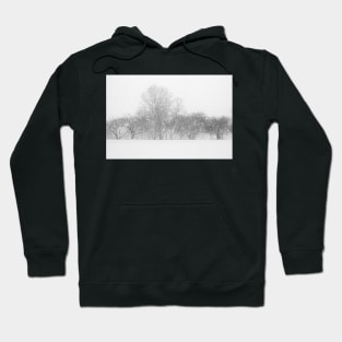 Snow in Silverlake Hoodie